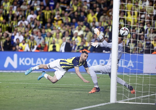 但在关键时 但在关键时